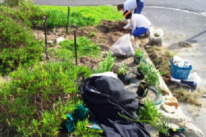 Community Indigenous Garden Initiative Community Indigenous Garden Initiative