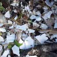 Styrofoam Corner – Hidden Effects of Pollutants Muizenberg Litter