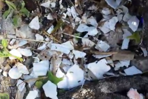 Styrofoam Corner – Hidden Effects of Pollutants Muizenberg Litter