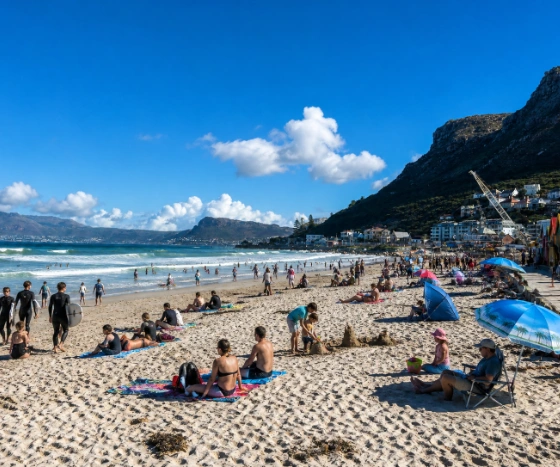 environment-greening-muizenberg-beachfront