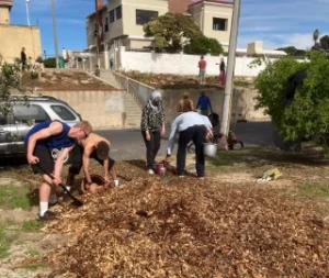 Planting Flora Royal Road Muizenberg