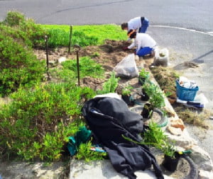 Community Indigenous Garden Initiative