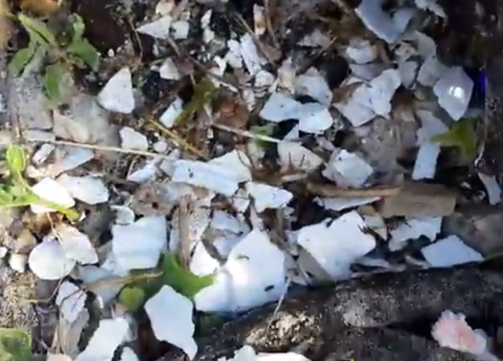 Styrofoam Corner – Hidden Effects of Pollutants